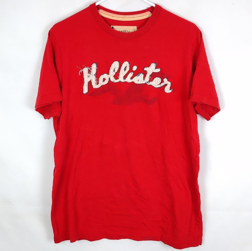 Vintage Hollister T-Shirt Mens L Casual Preppy Vacation Going Out Gorpcore Party